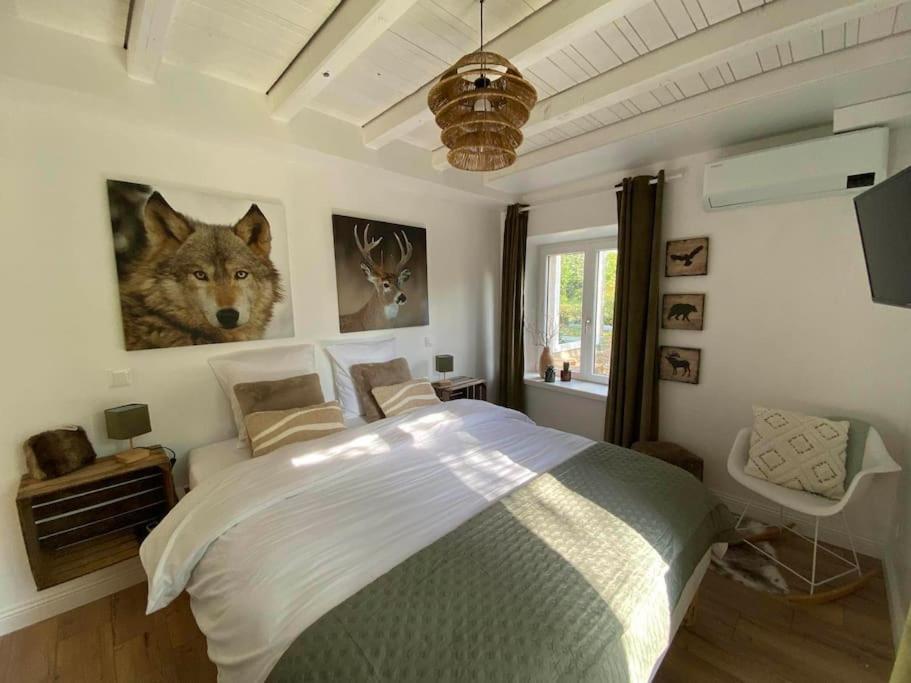 Renove En Bordure De Foret