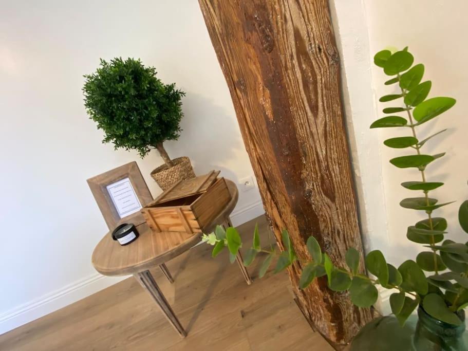 Renove En Bordure De Foret