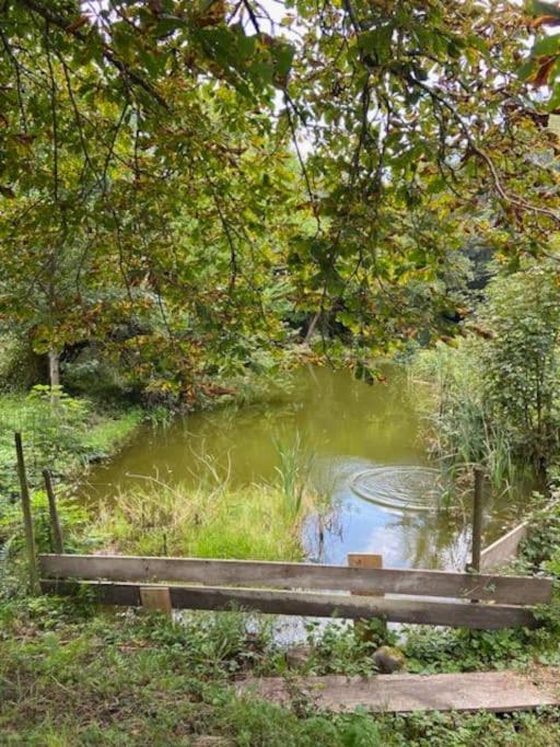 Renove En Bordure De Foret Holiday home
