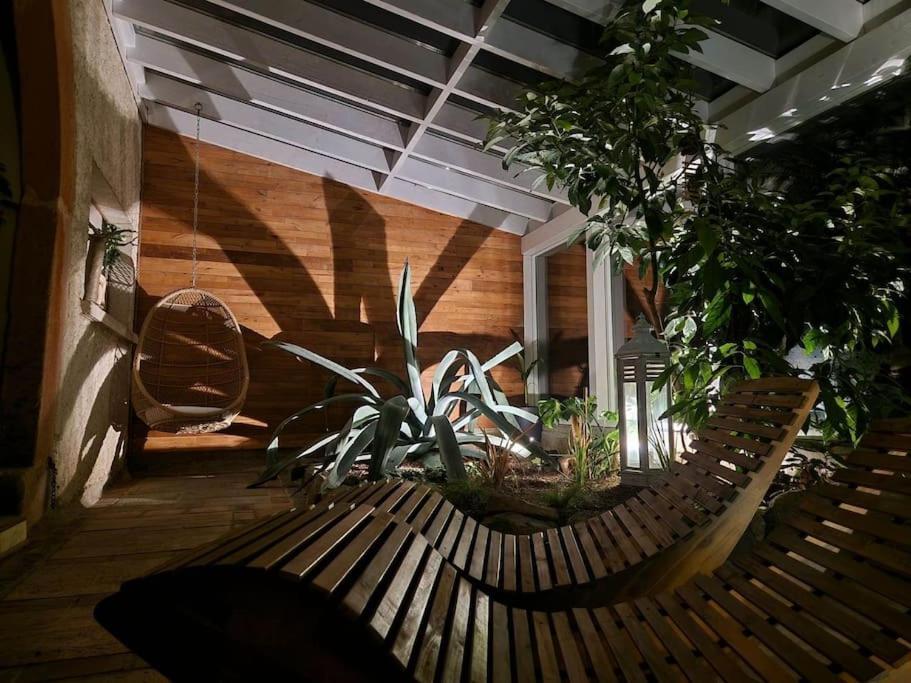 Renove En Bordure De Foret